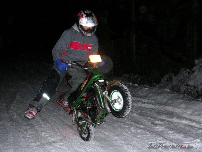 Photo 272934