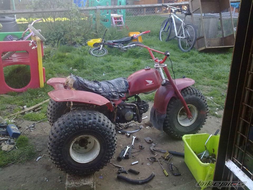 Photo 2729350