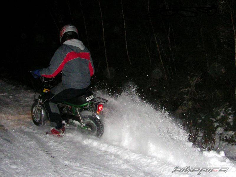 Photo 272937