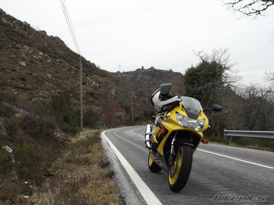 Photo 2729429