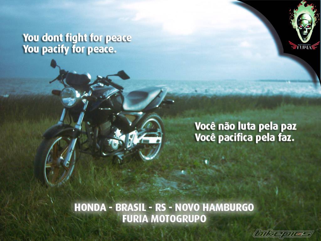 Photo 272945