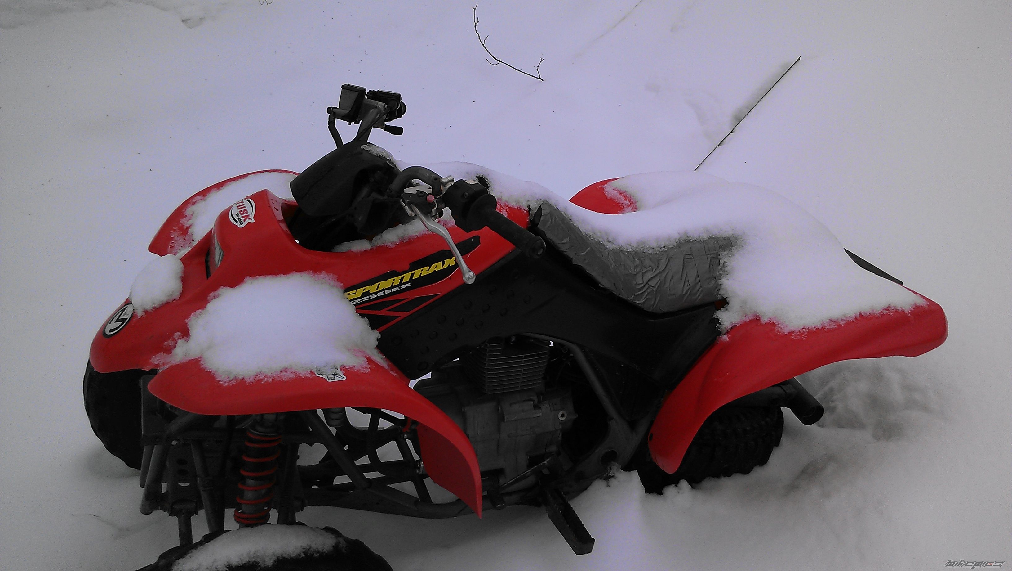Photo 2729511