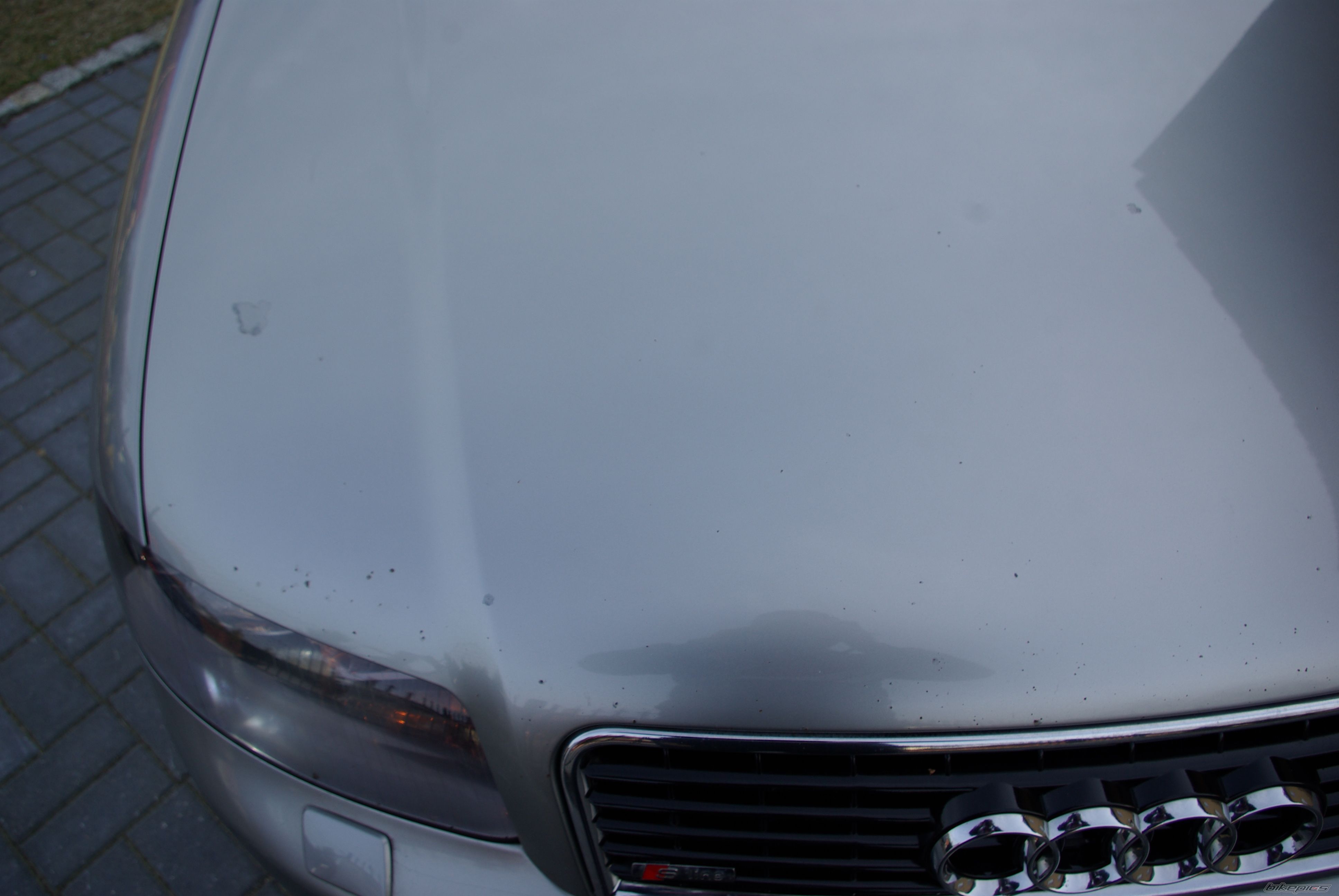 Photo 2729522