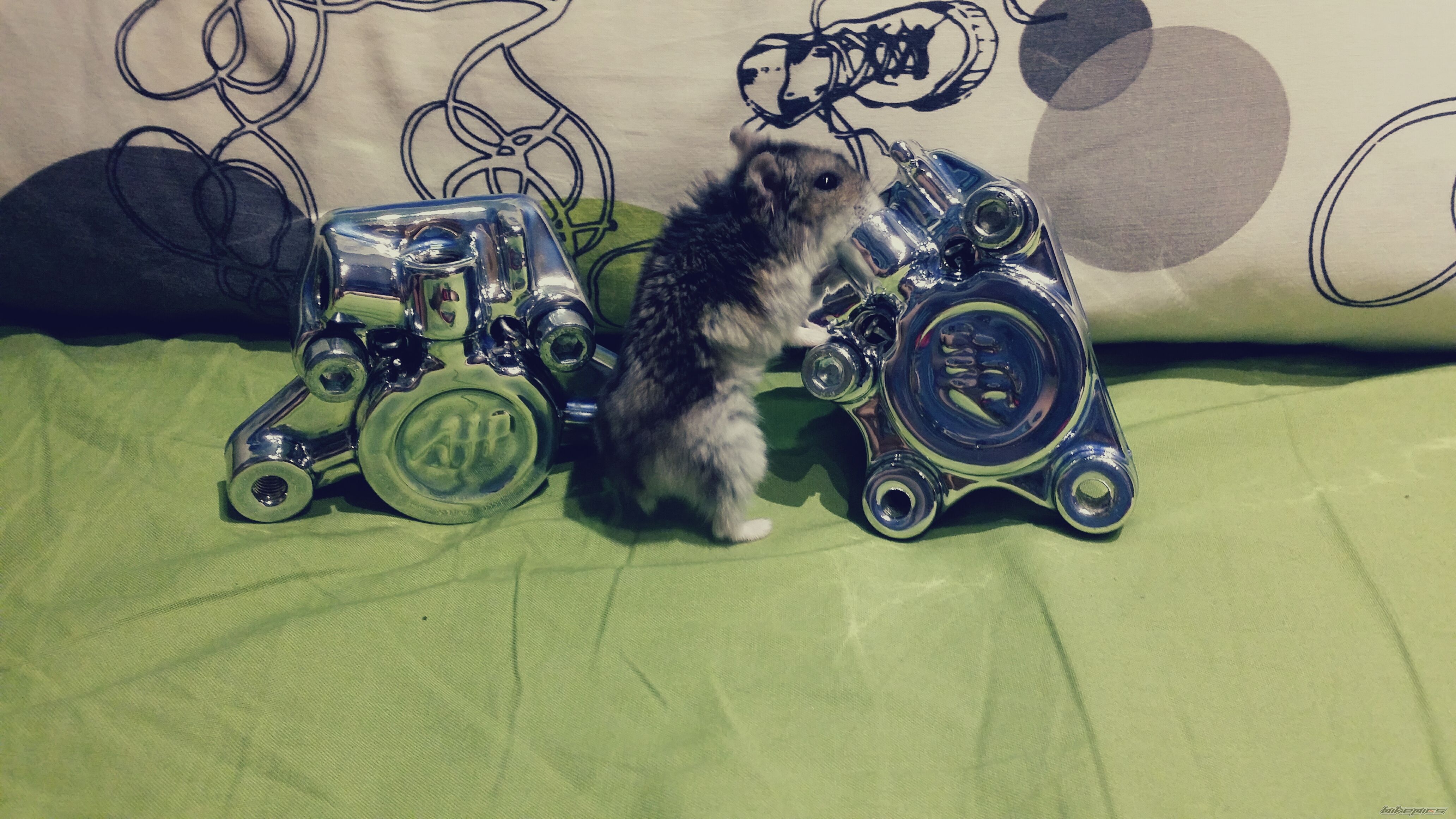 Photo 2729623