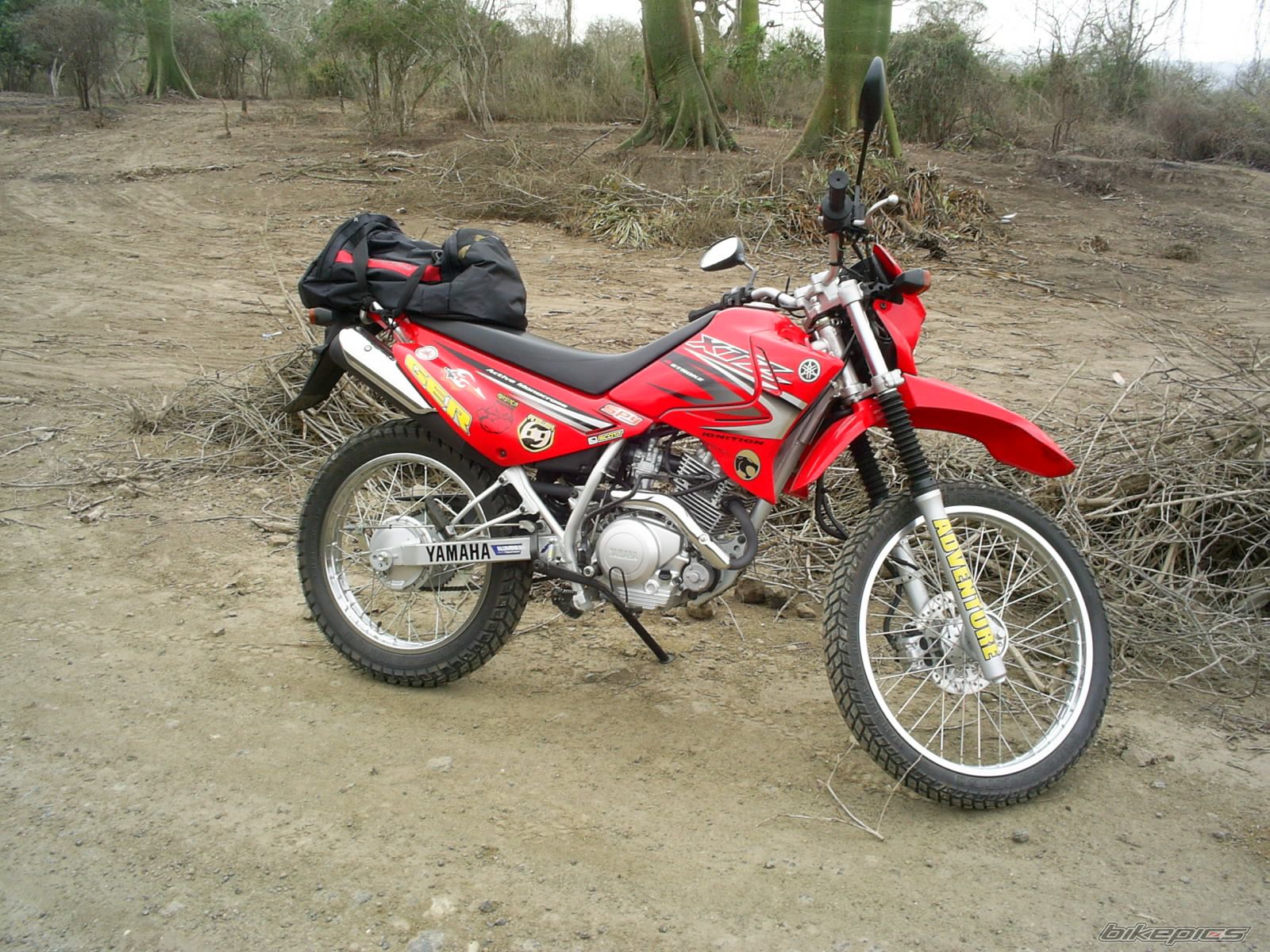Photo 2729645