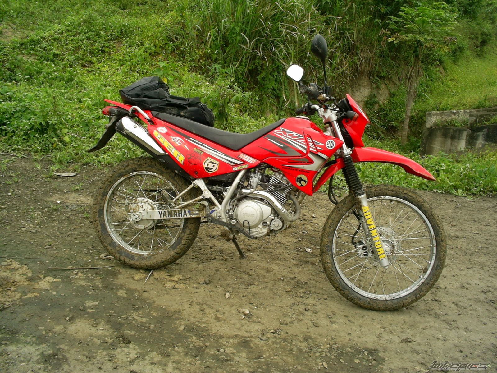 Photo 2729647