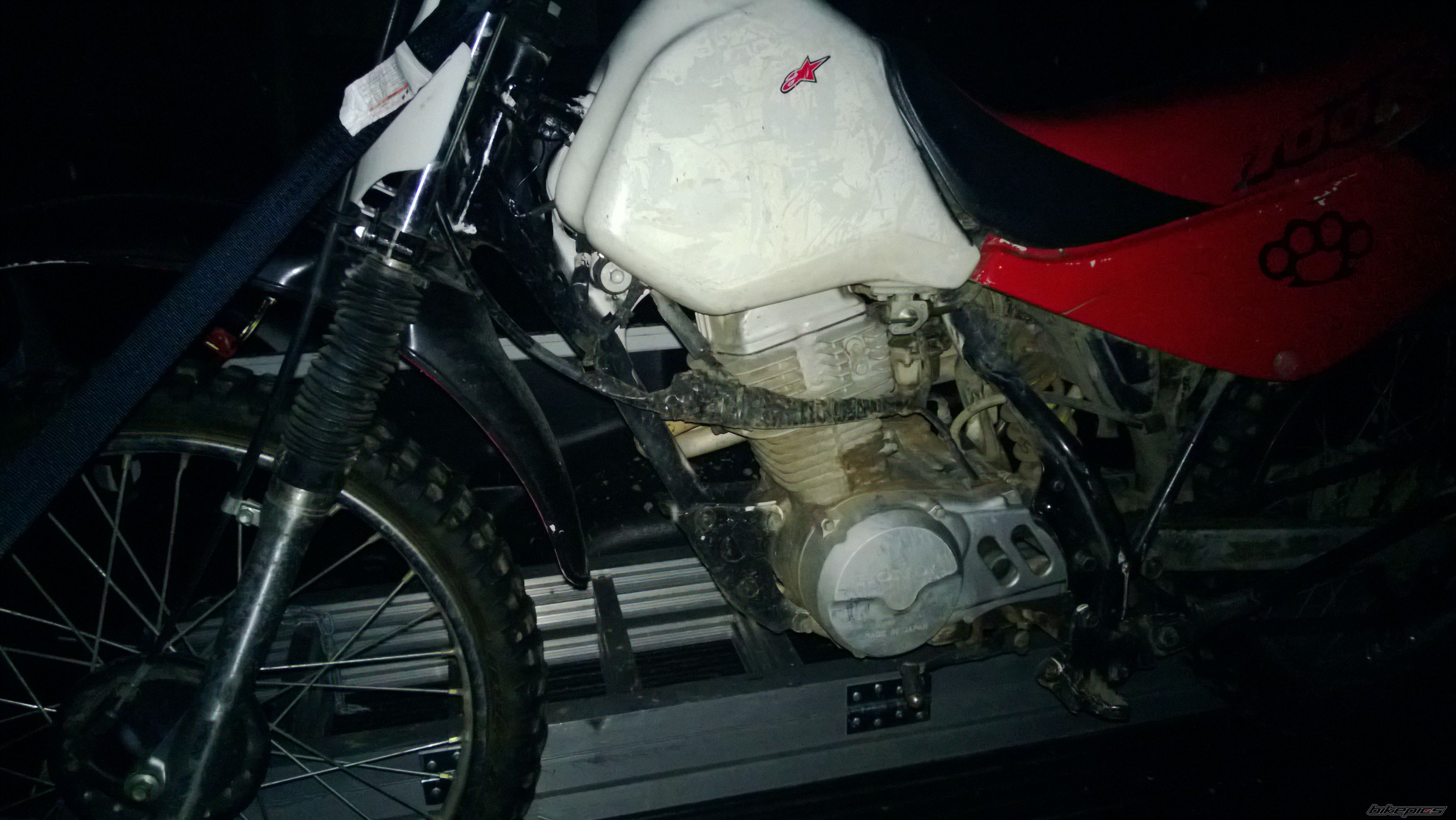 Photo 2729711