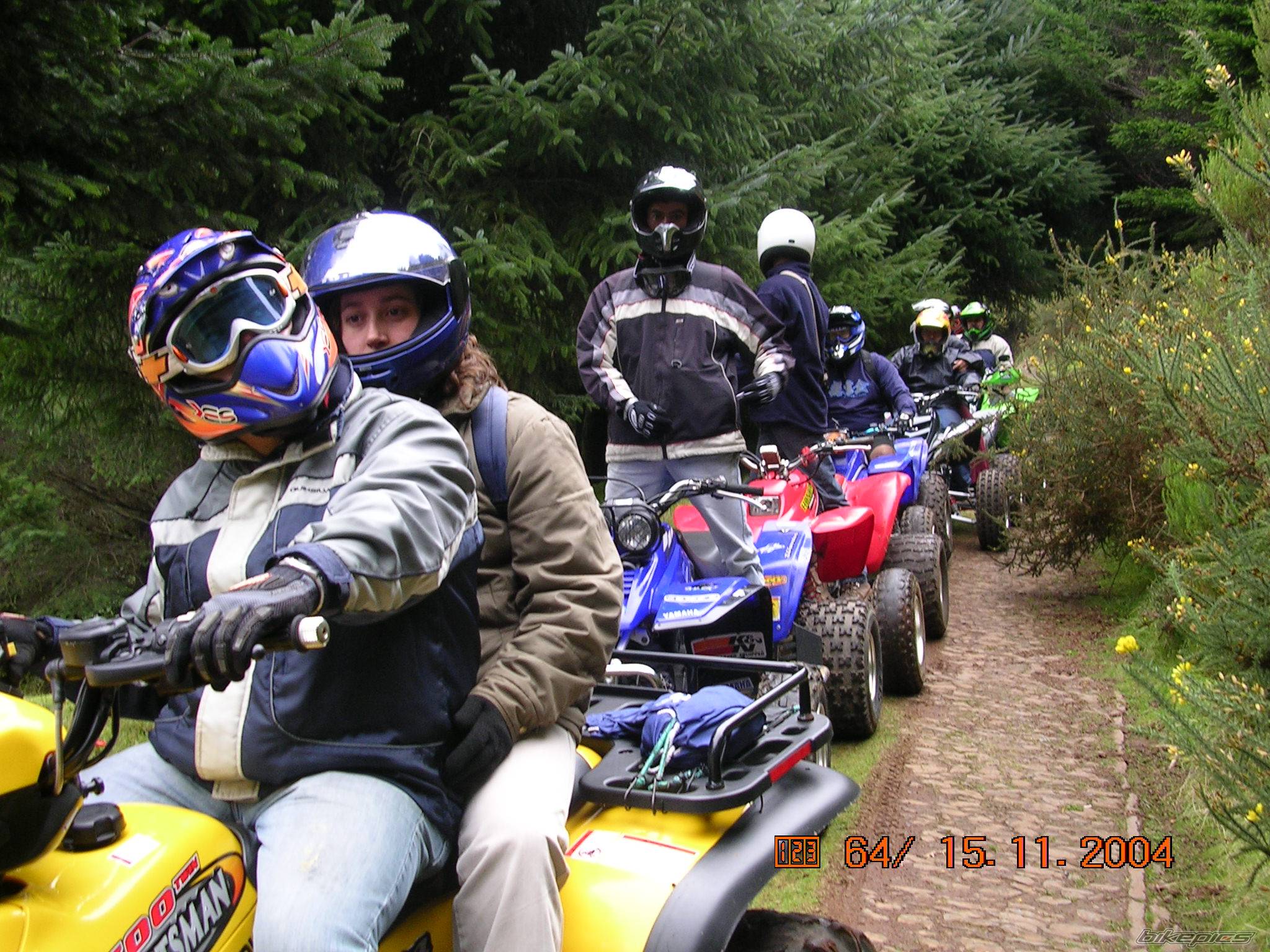 Photo 272973