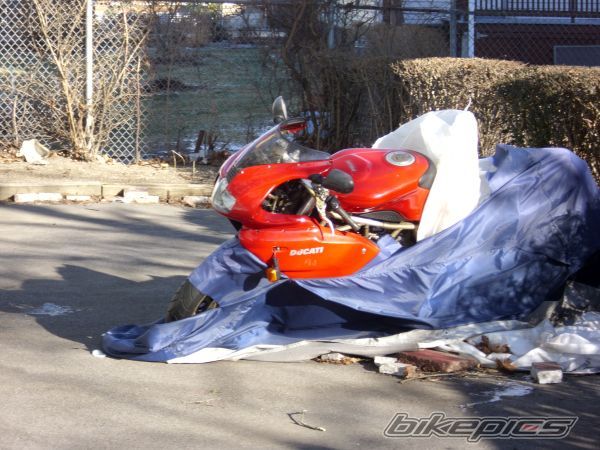 Photo 2729753