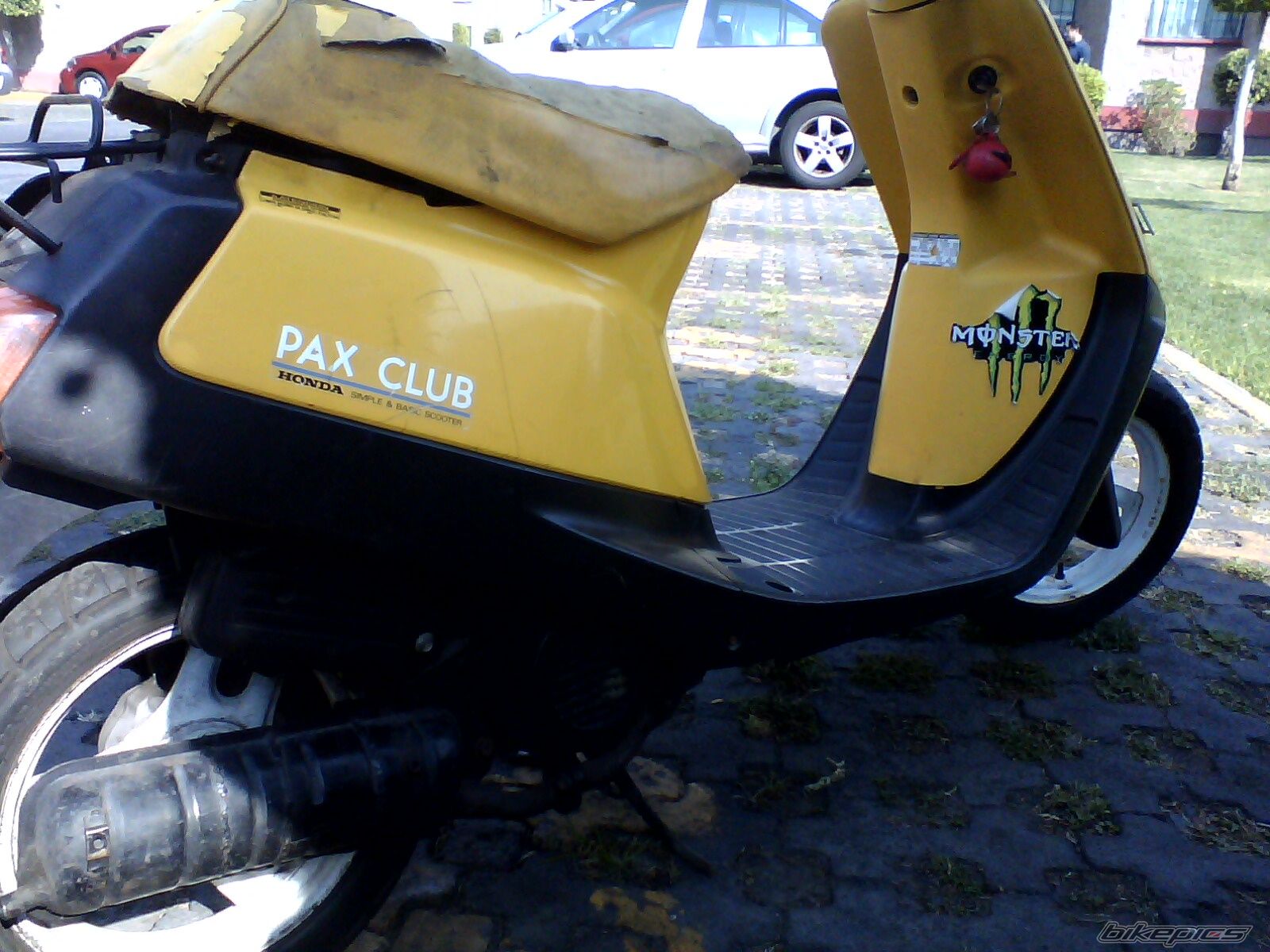 Photo 2729759