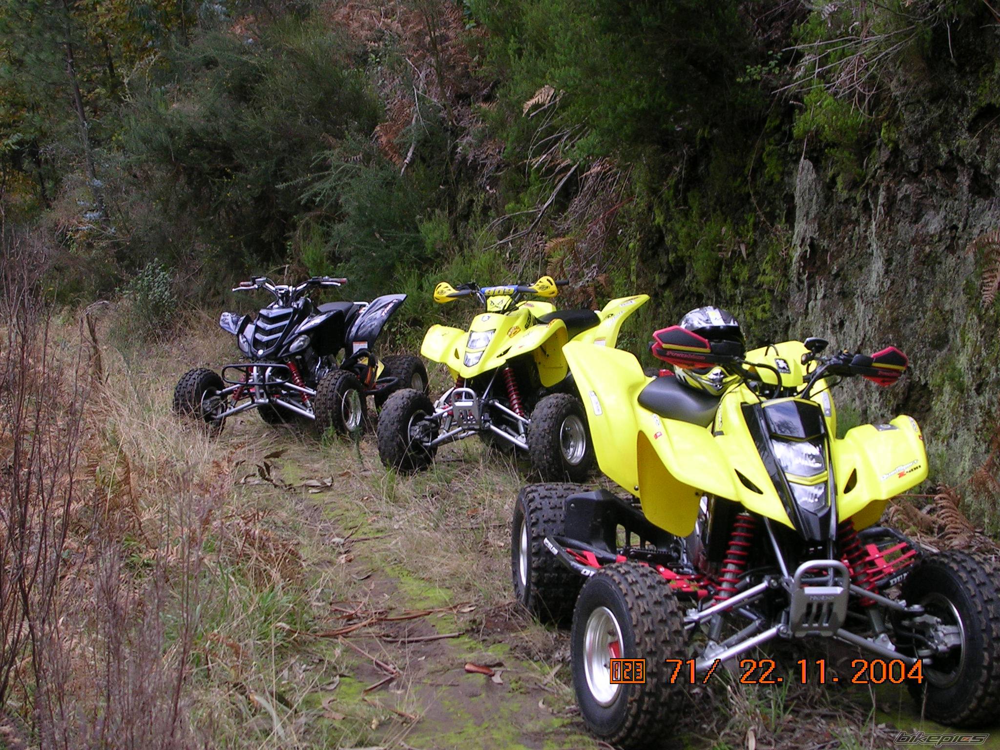 Photo 272977