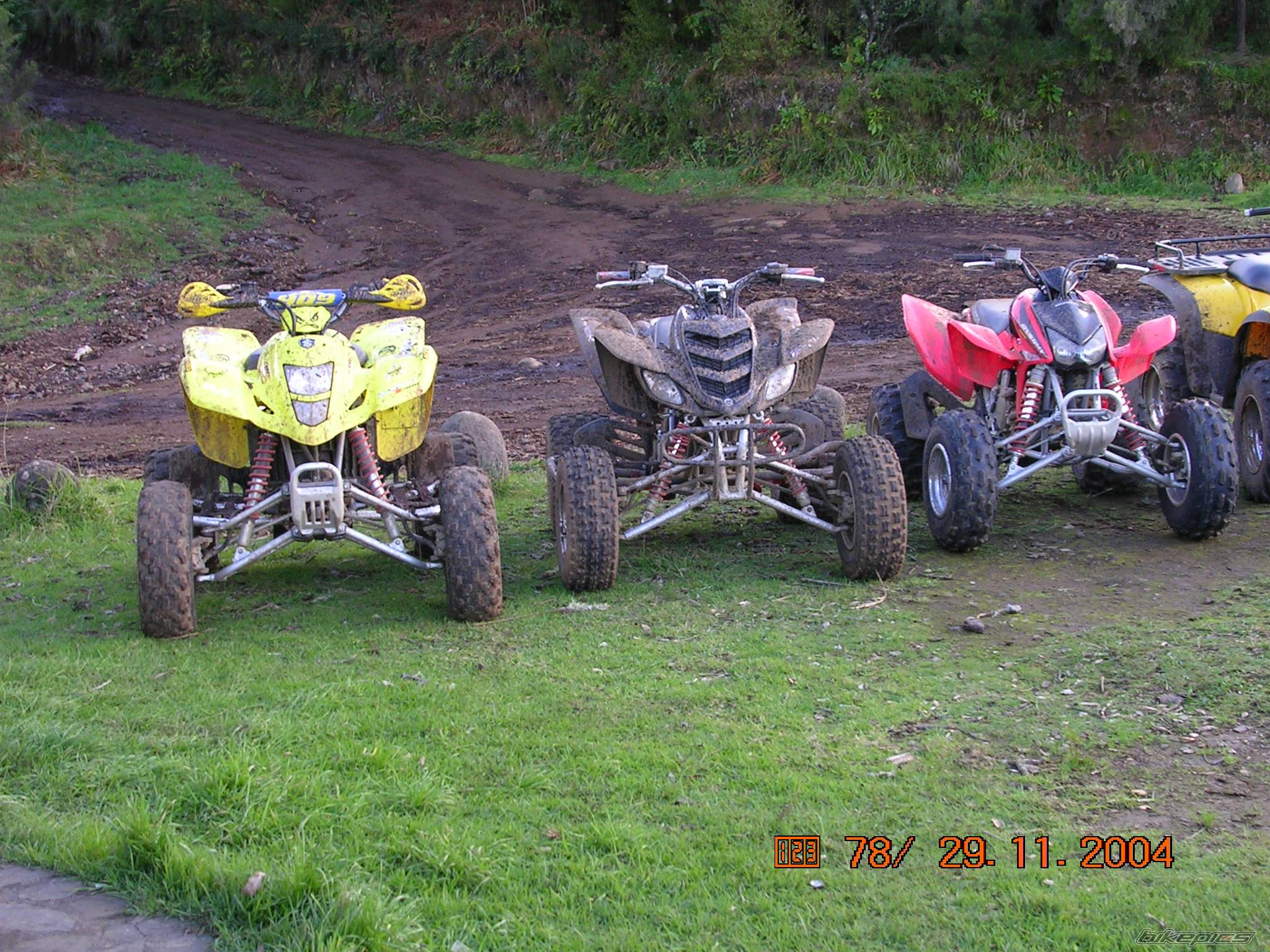 Photo 272980