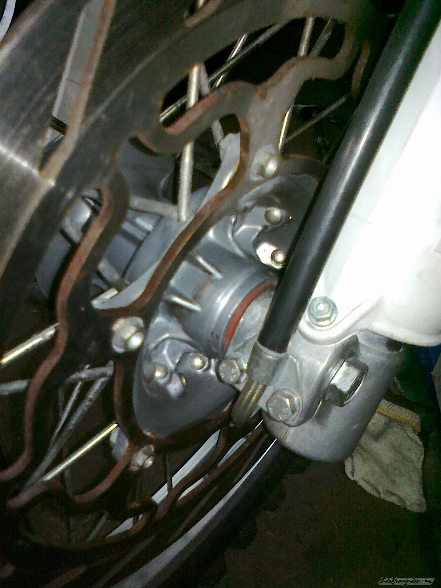 Photo 2729898