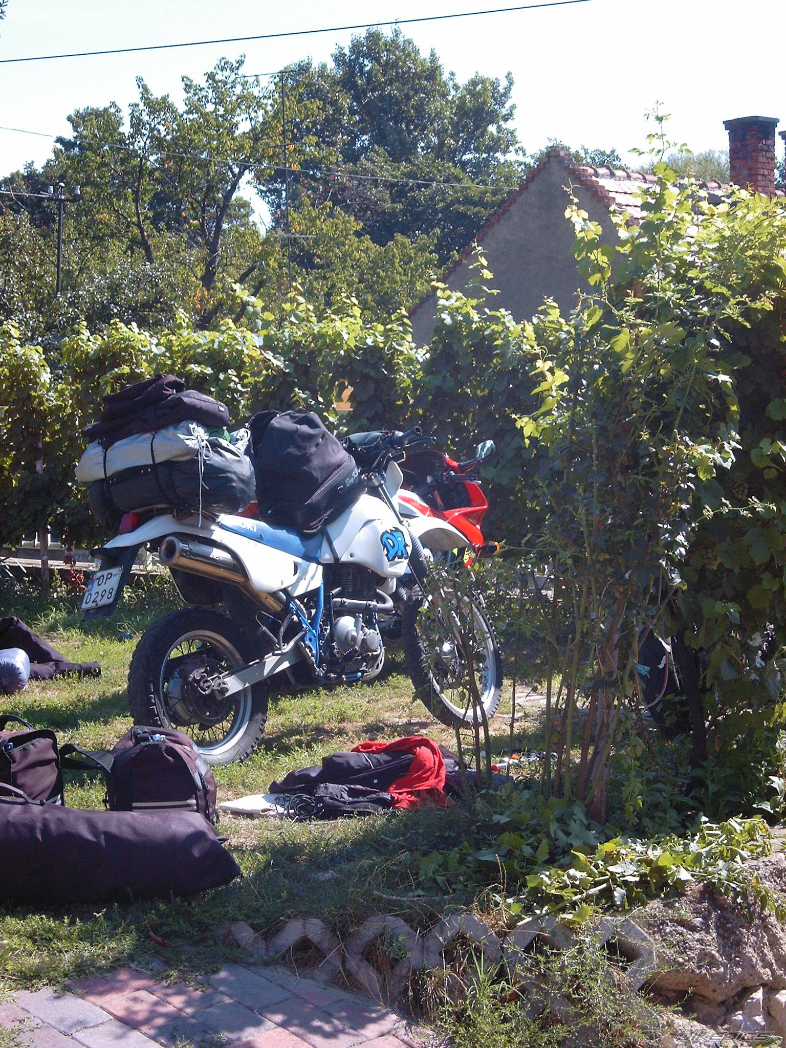 Photo 272995