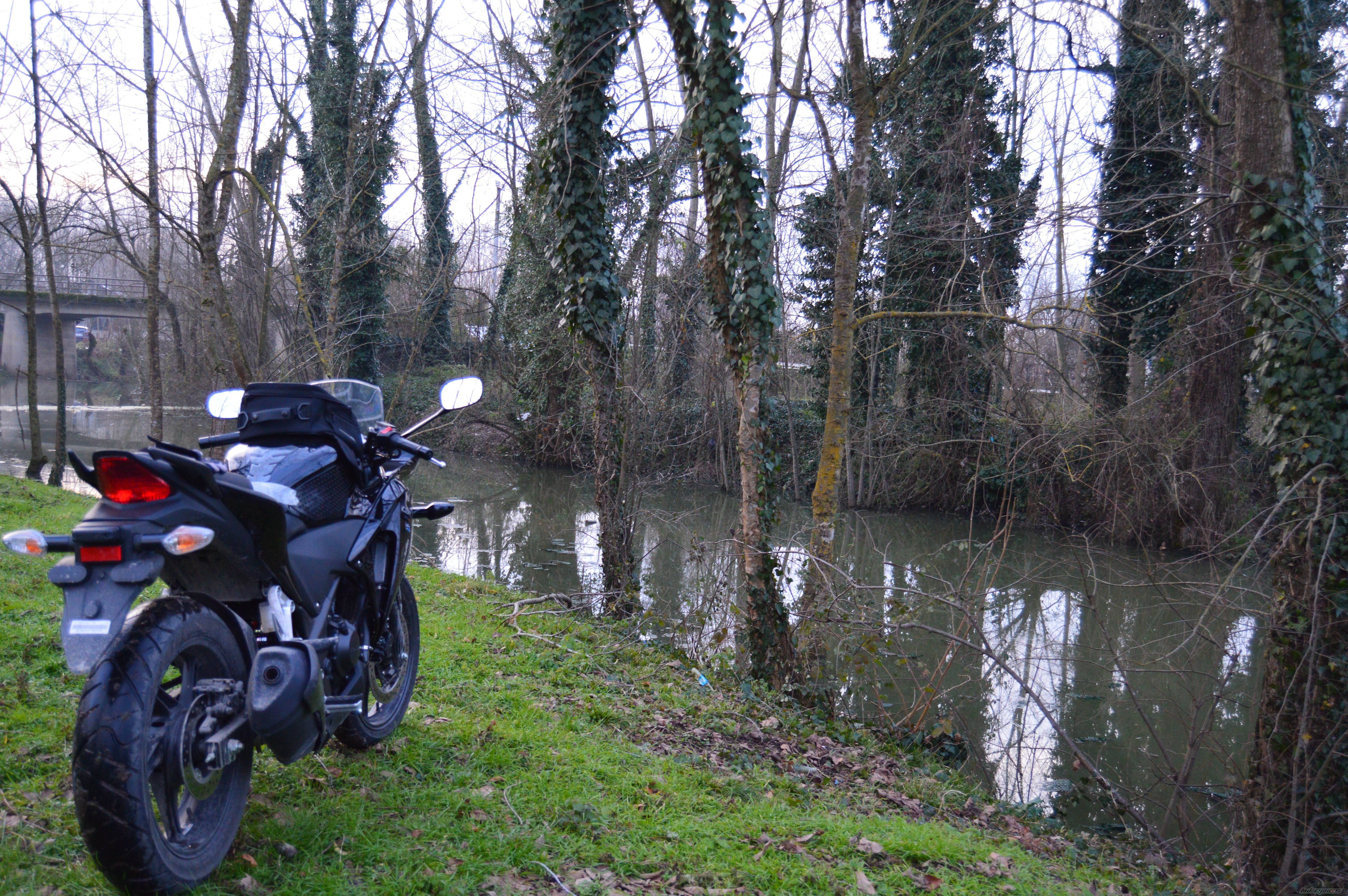 Photo 2729972
