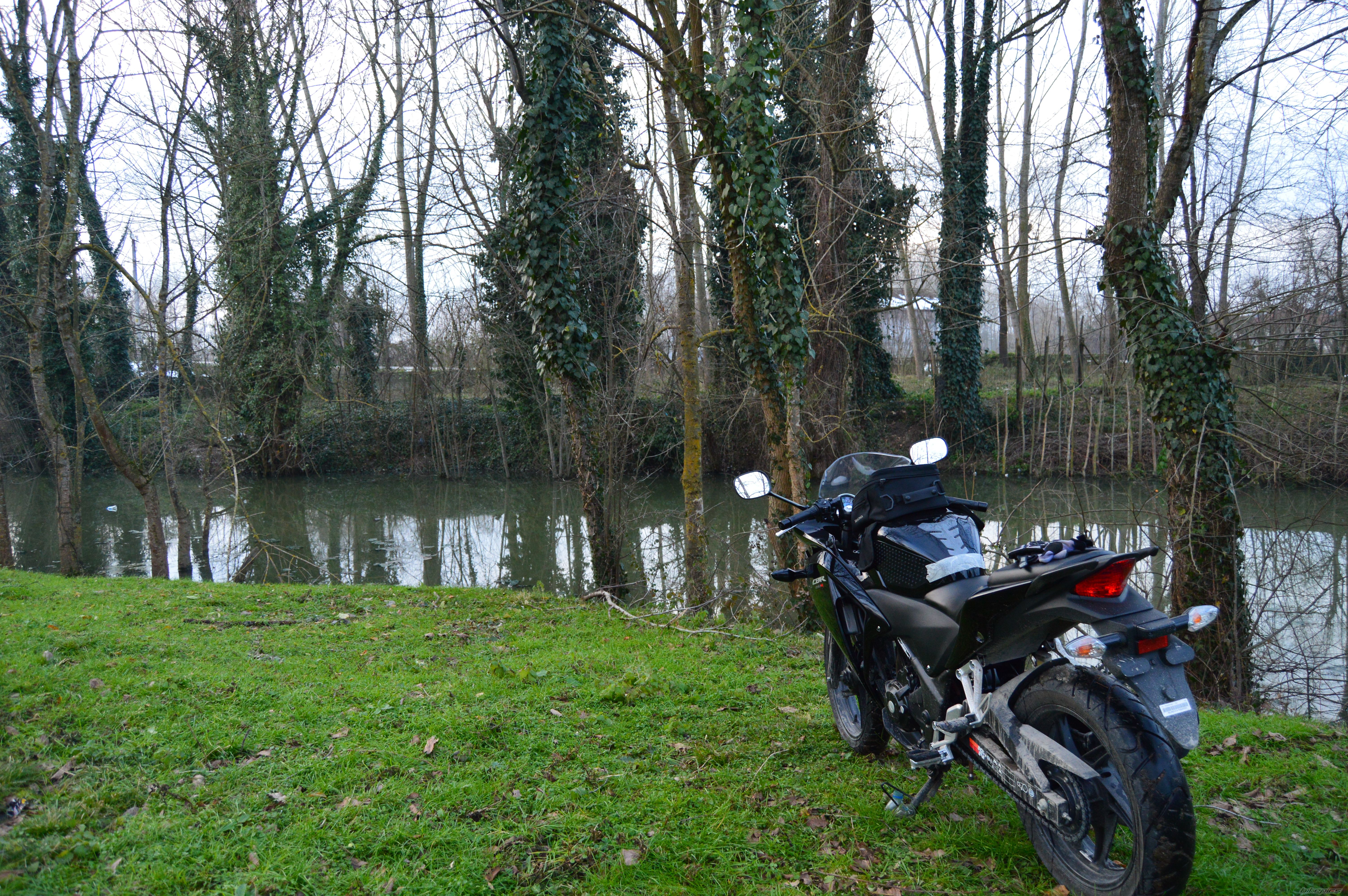 Photo 2729999