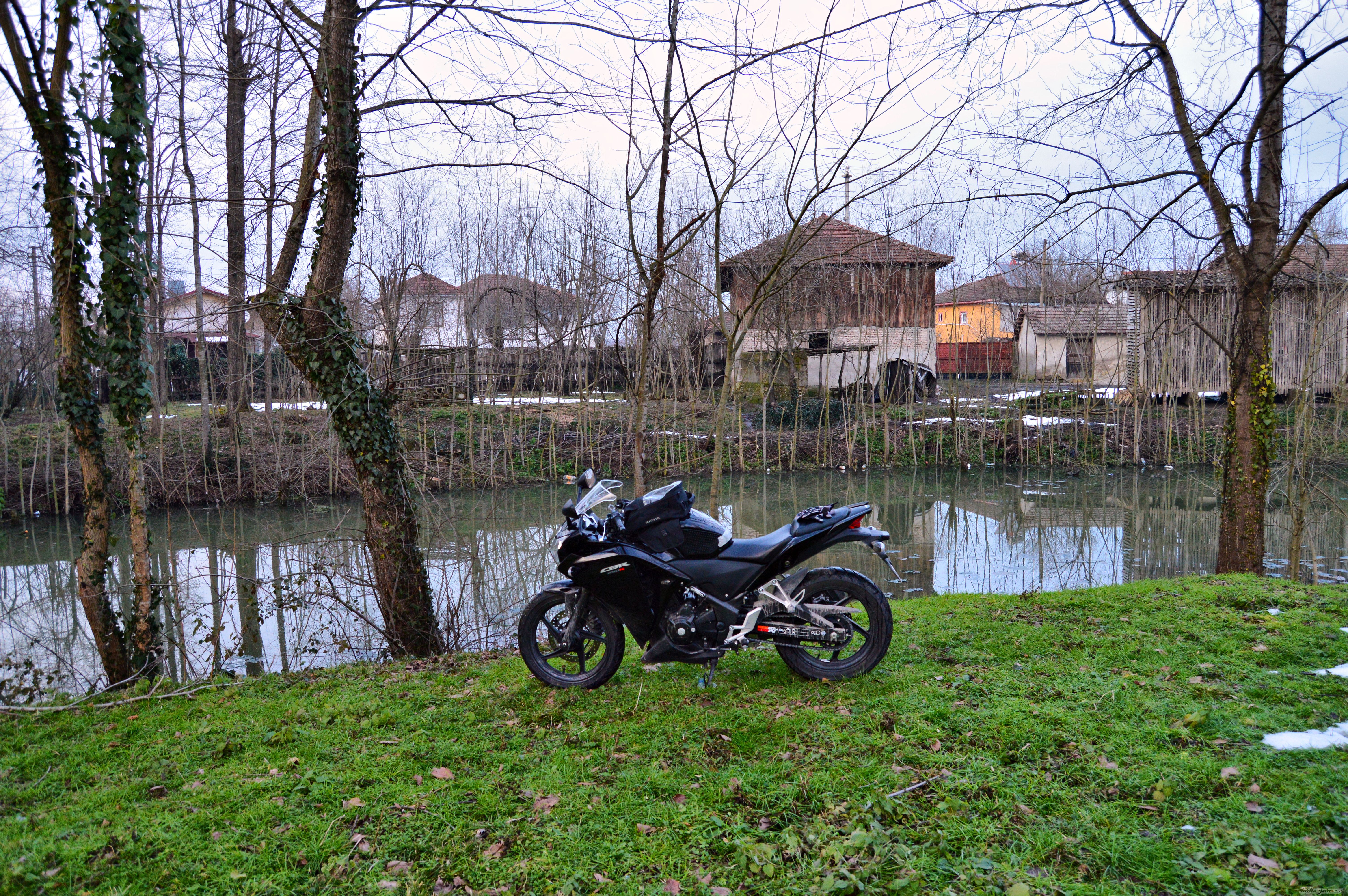Photo 2730004