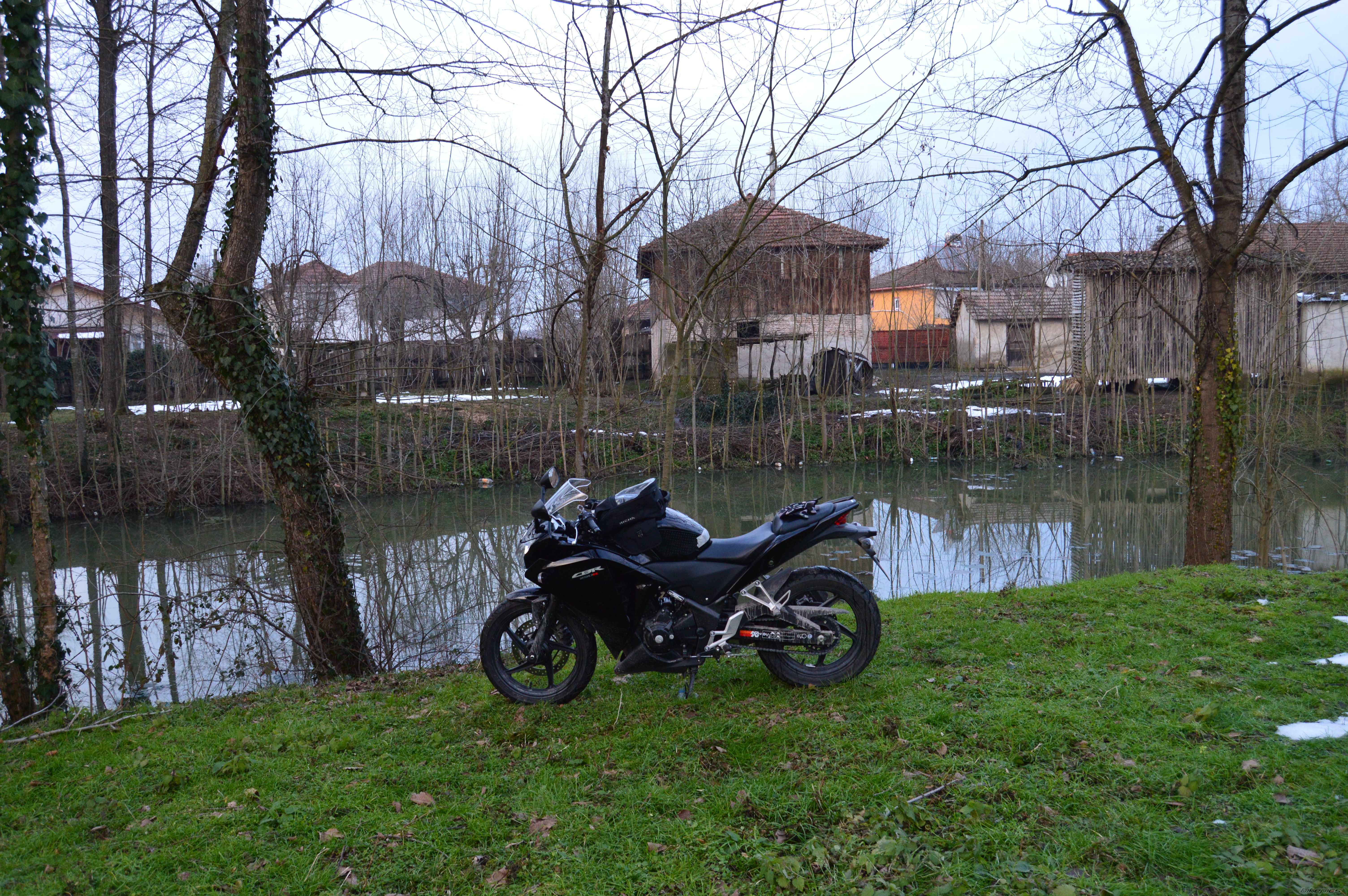 Photo 2730005