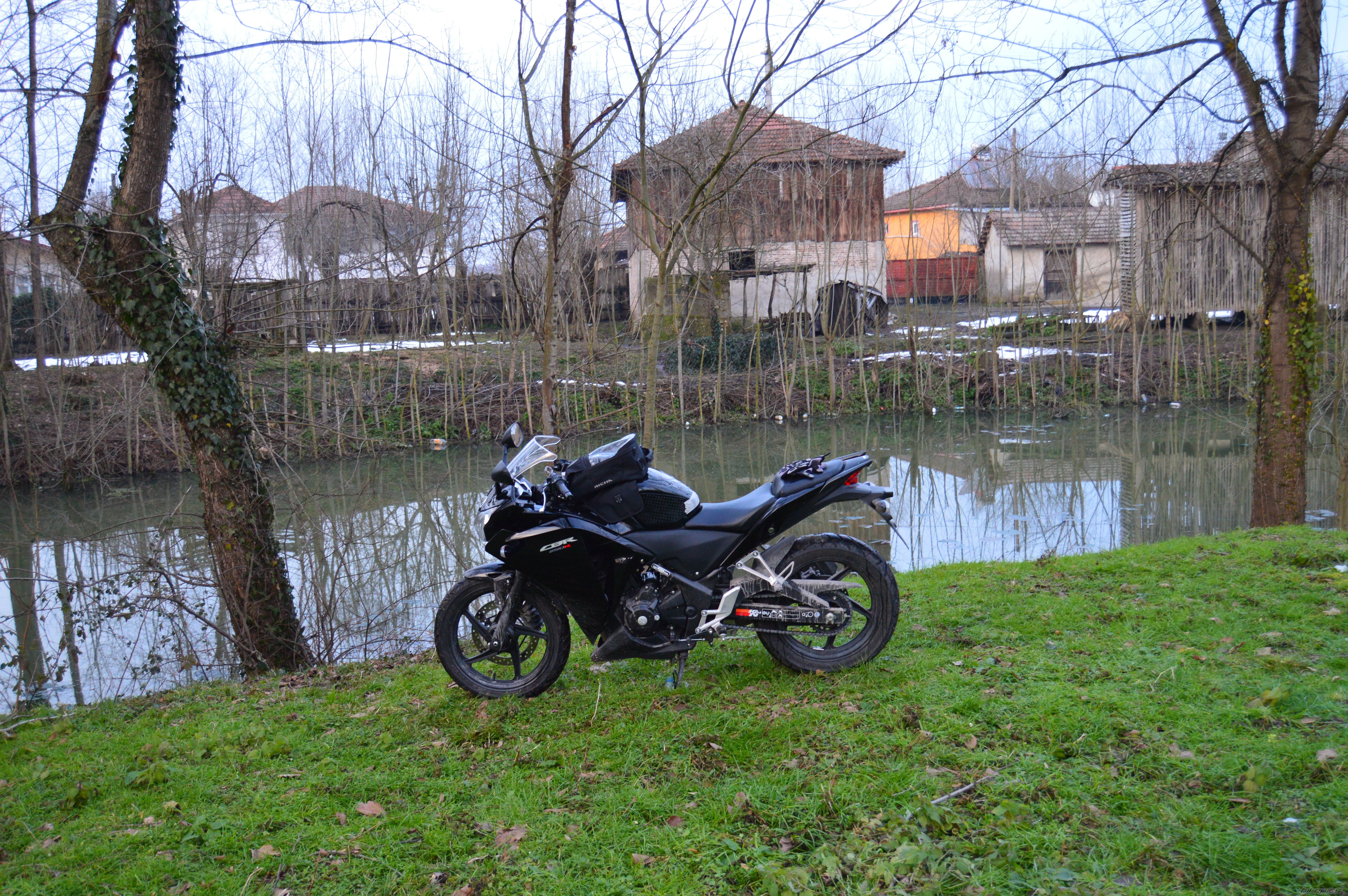 Photo 2730006