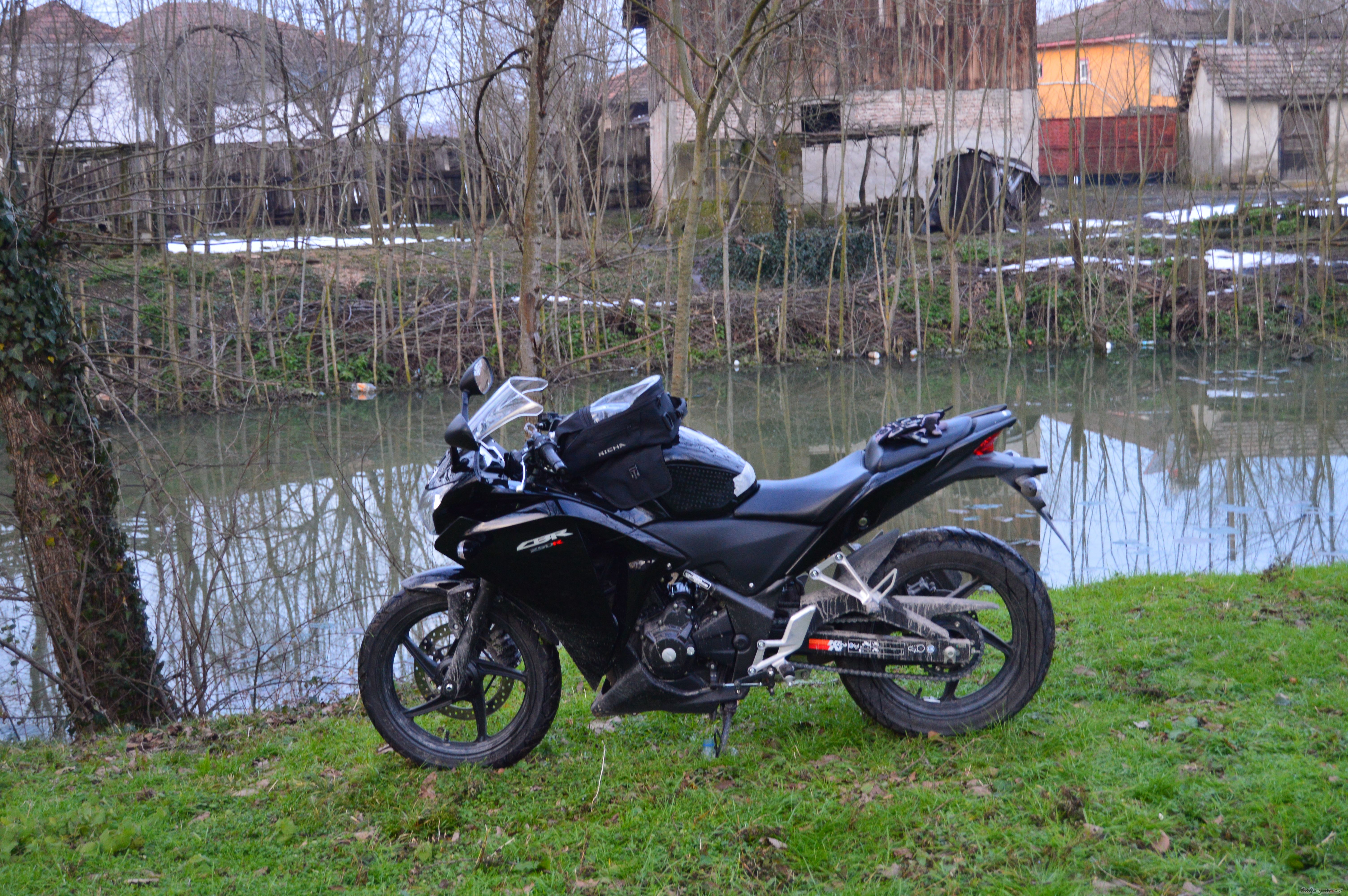 Photo 2730007
