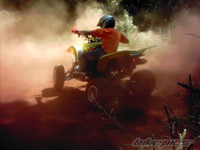 Photo 273004