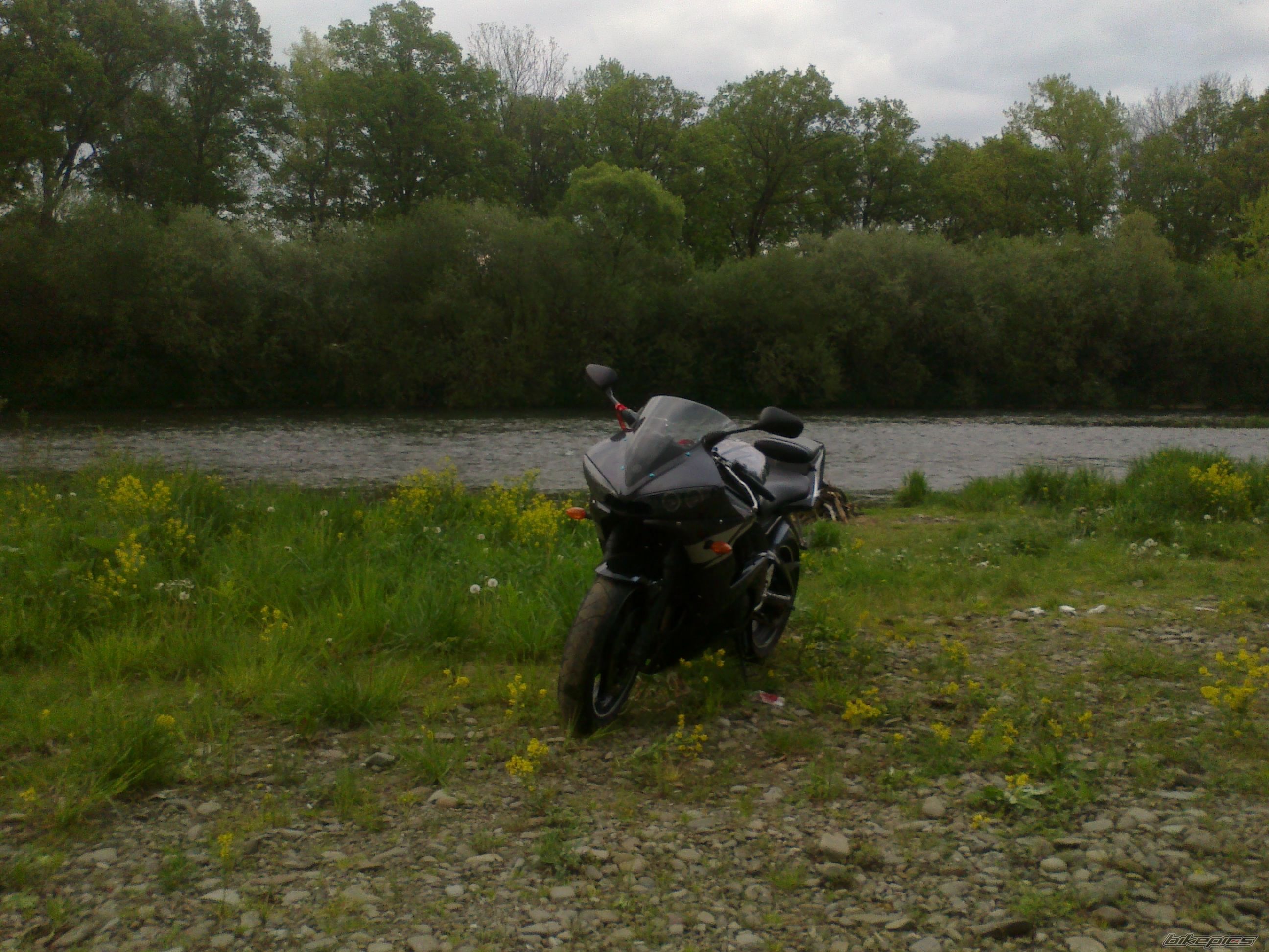 Photo 2730248