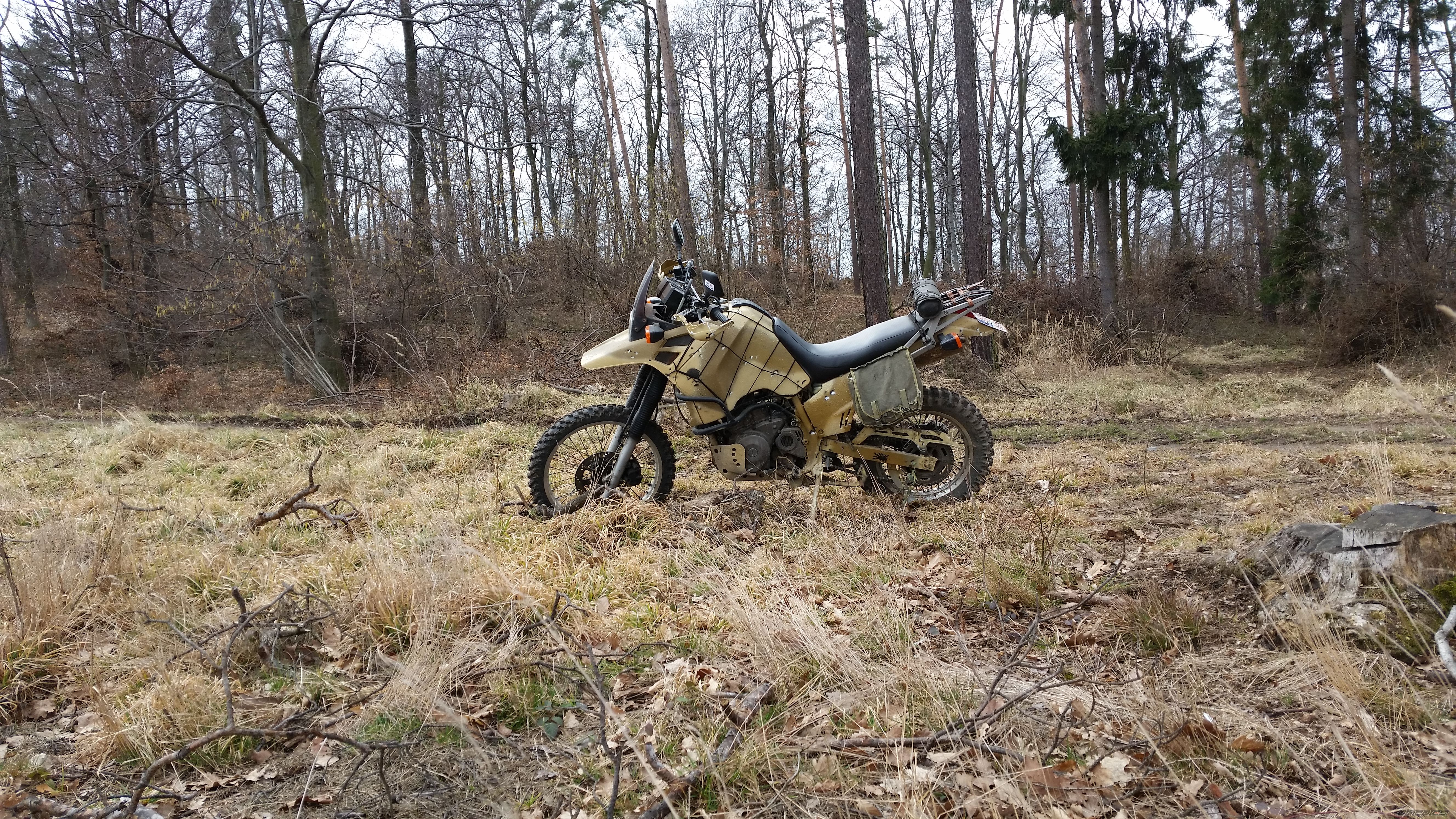 Photo 2730292