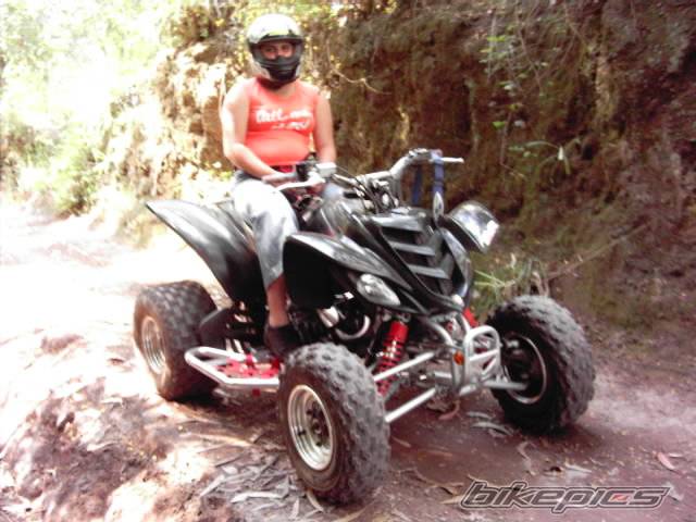 Photo 273042