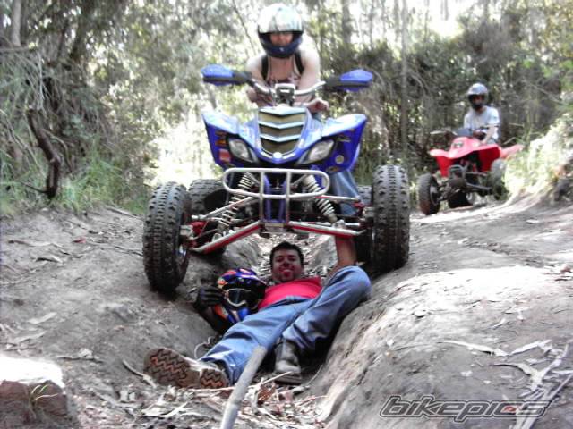 Photo 273044