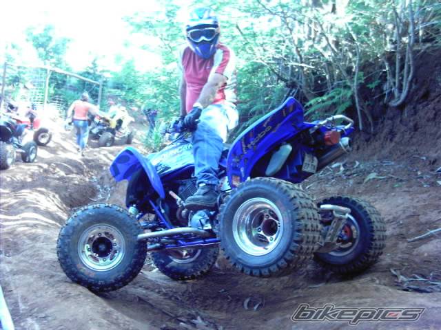 Photo 273051