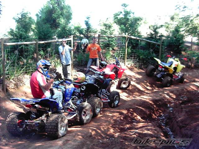 Photo 273052