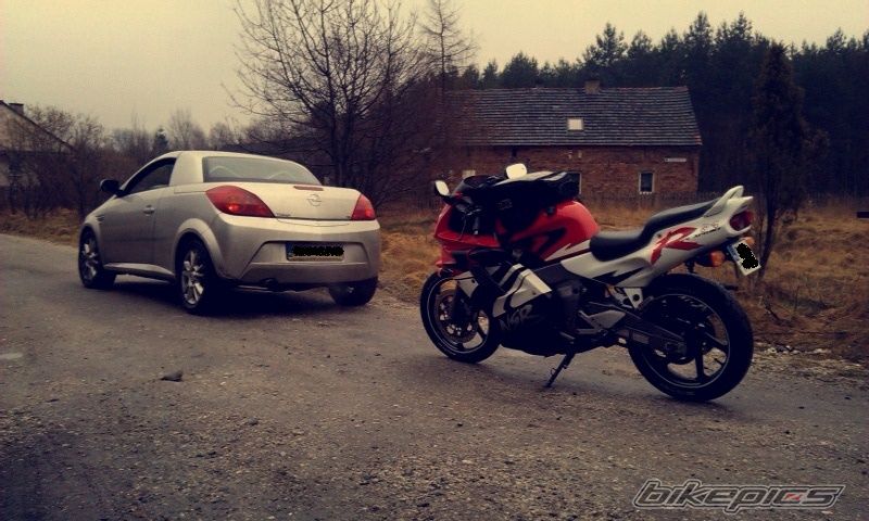 Photo 2730555