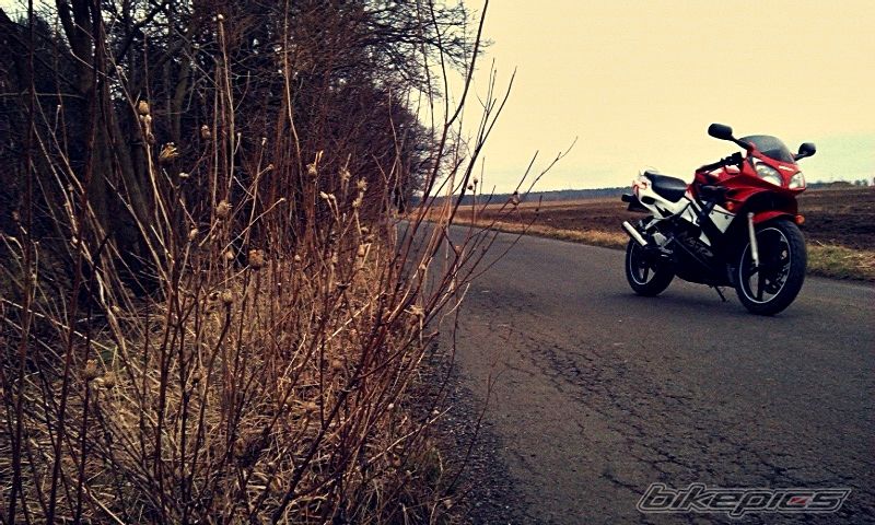 Photo 2730557