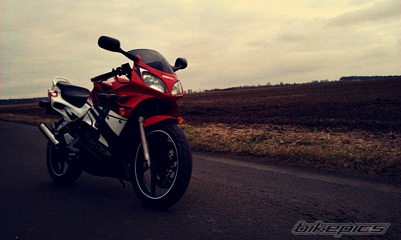 Photo 2730558
