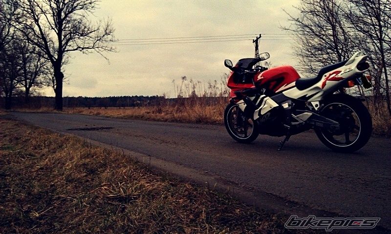 Photo 2730560