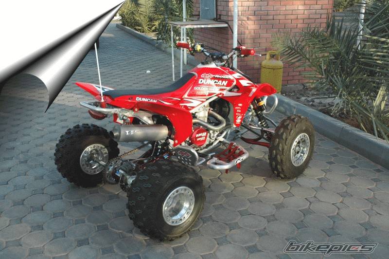 Photo 273059