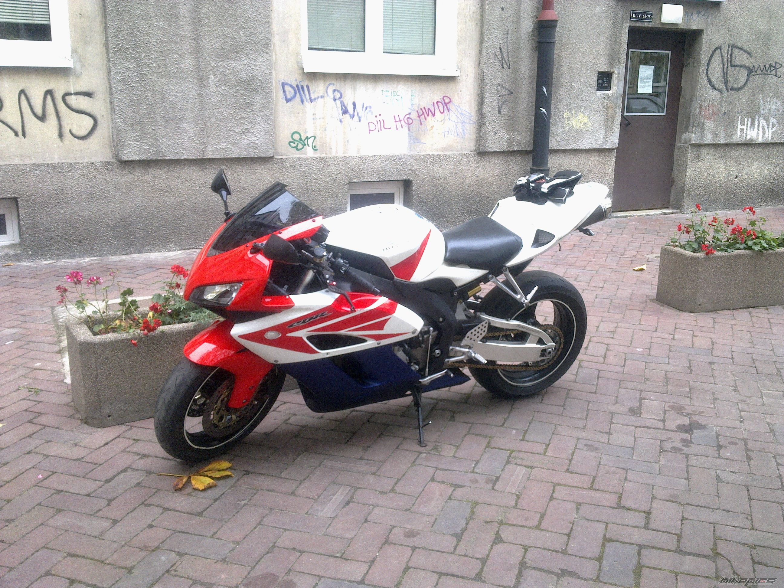 Photo 2730596