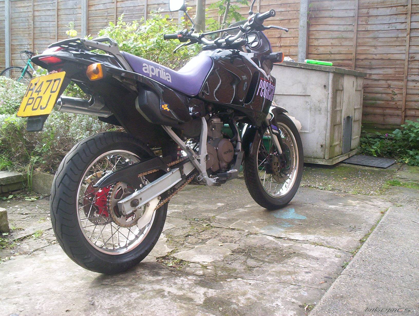 Photo 273079