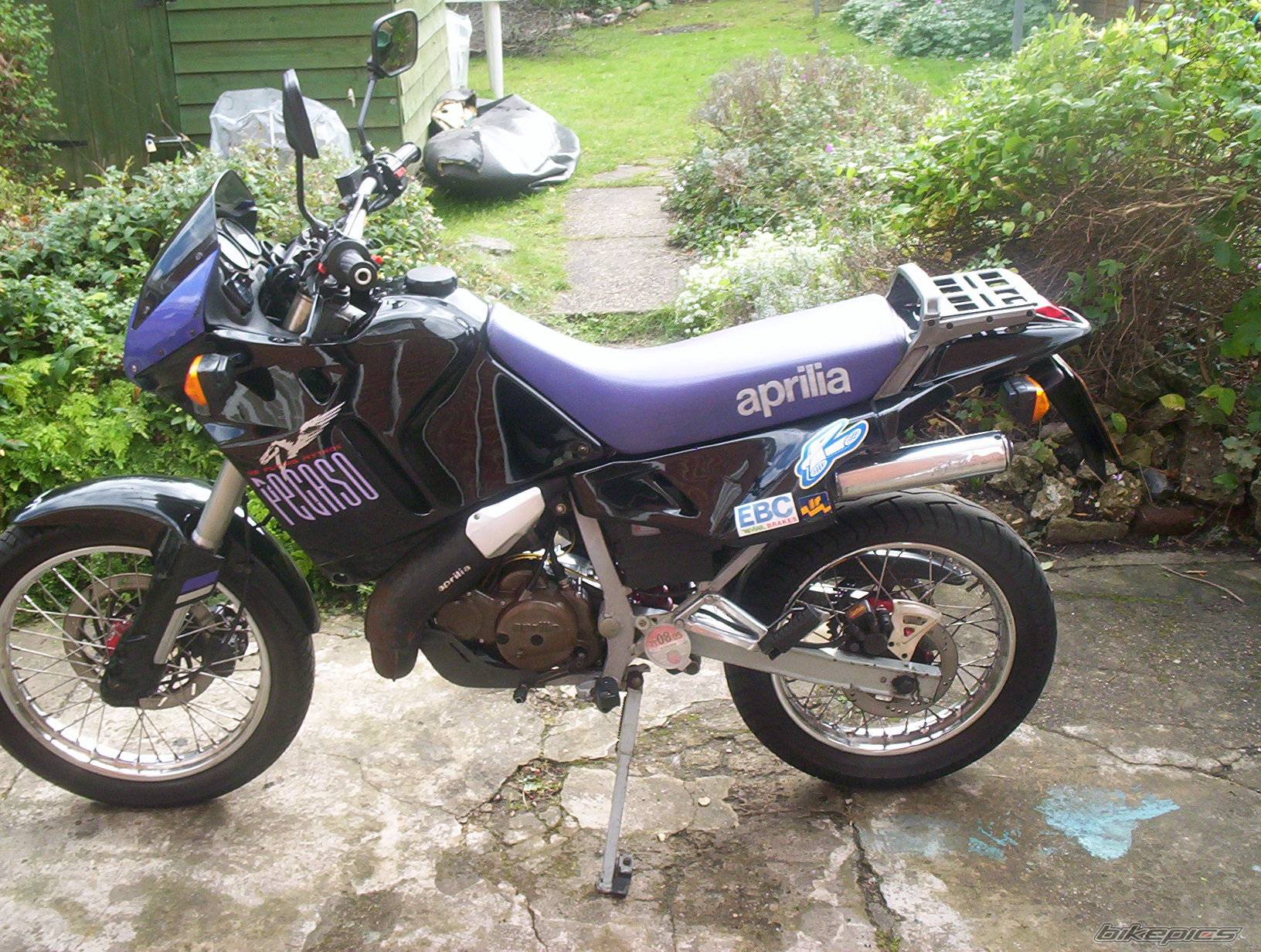 Photo 273083