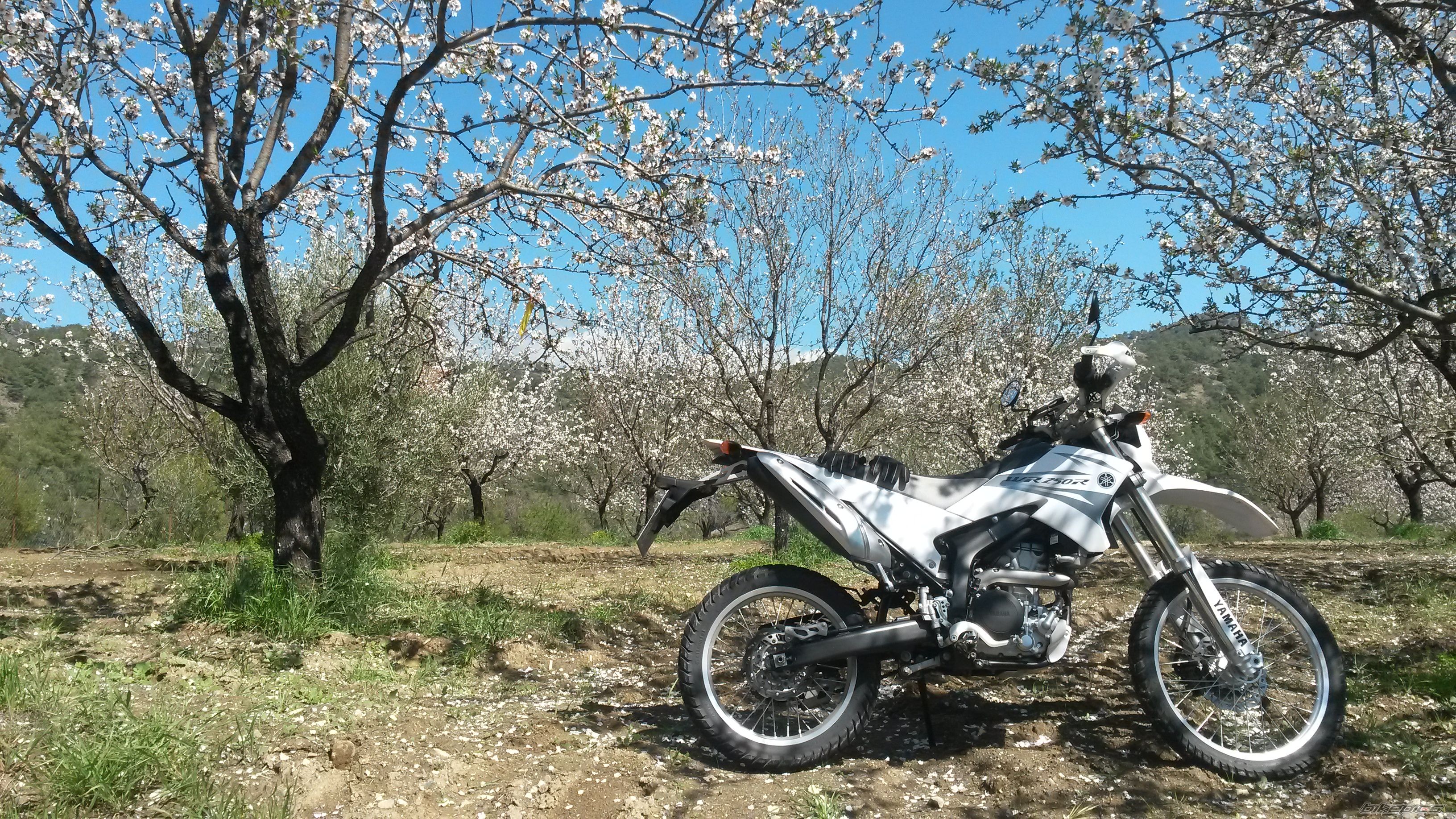 Photo 2730837