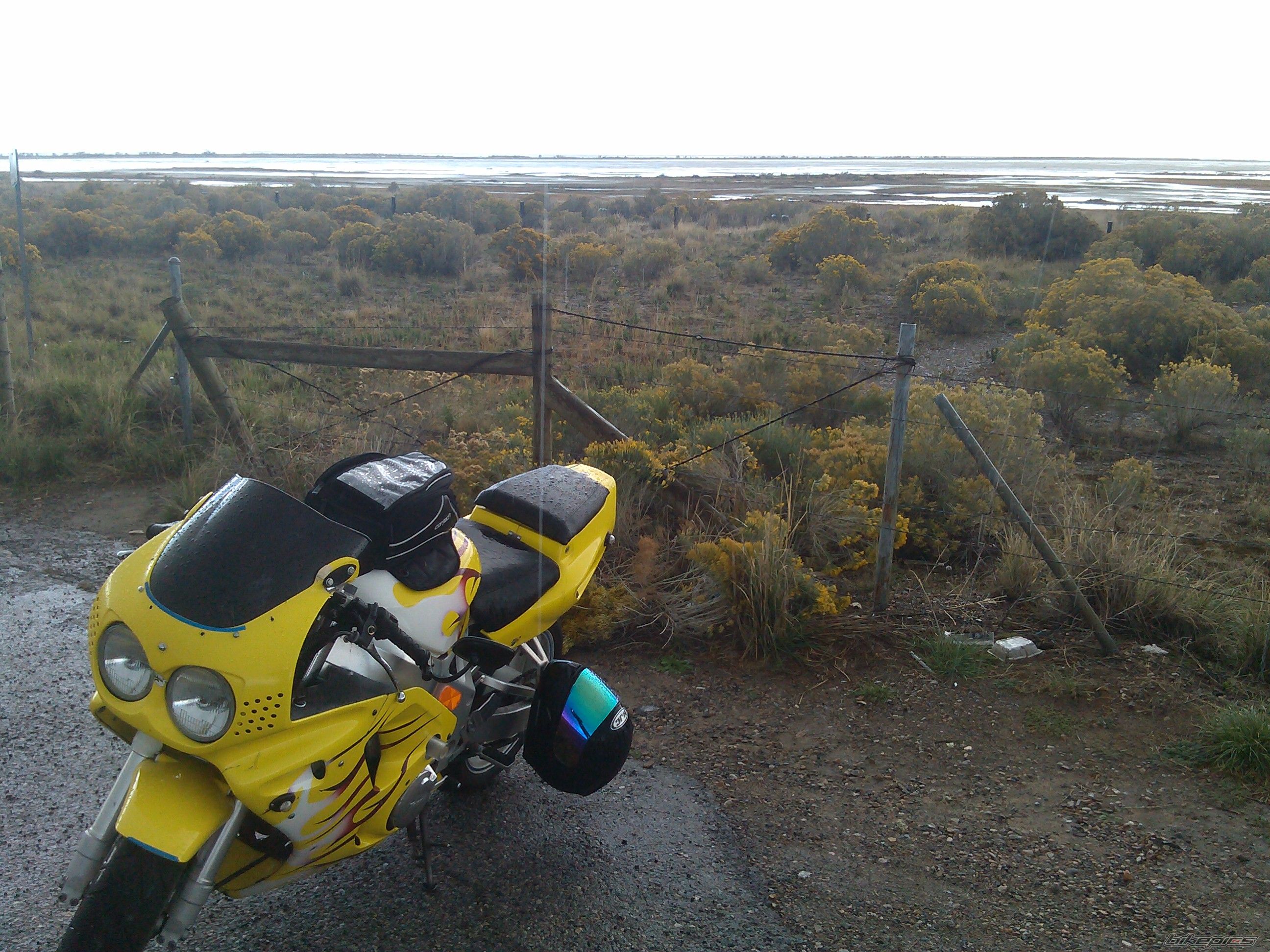 Photo 2730869