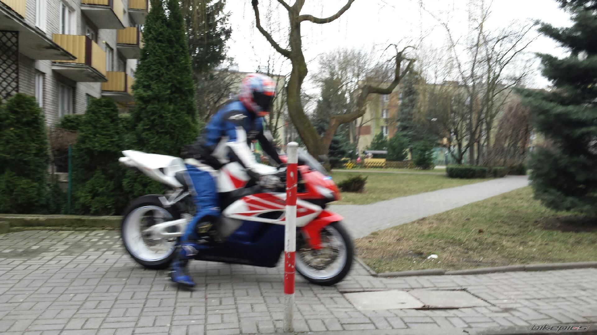 Photo 2730874