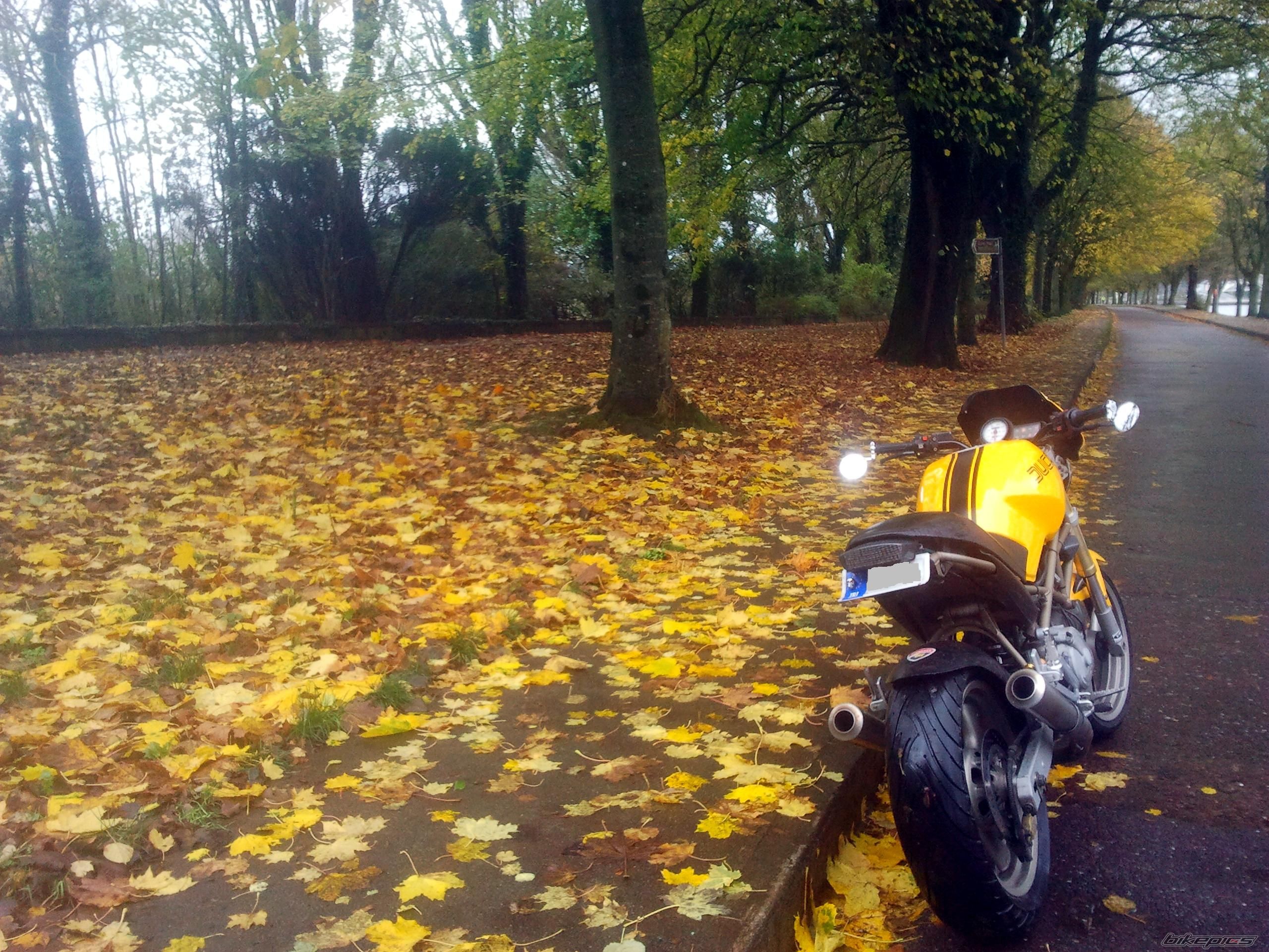 Photo 2730925