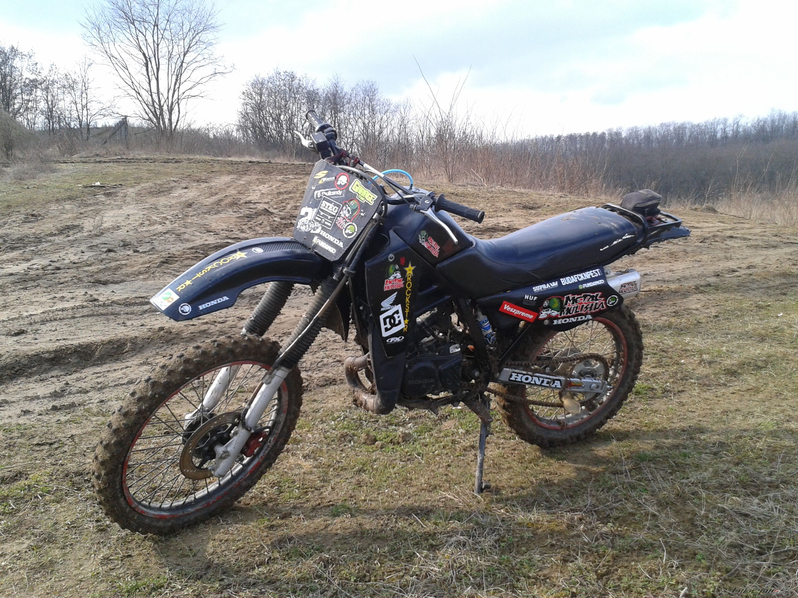 Photo 2730982