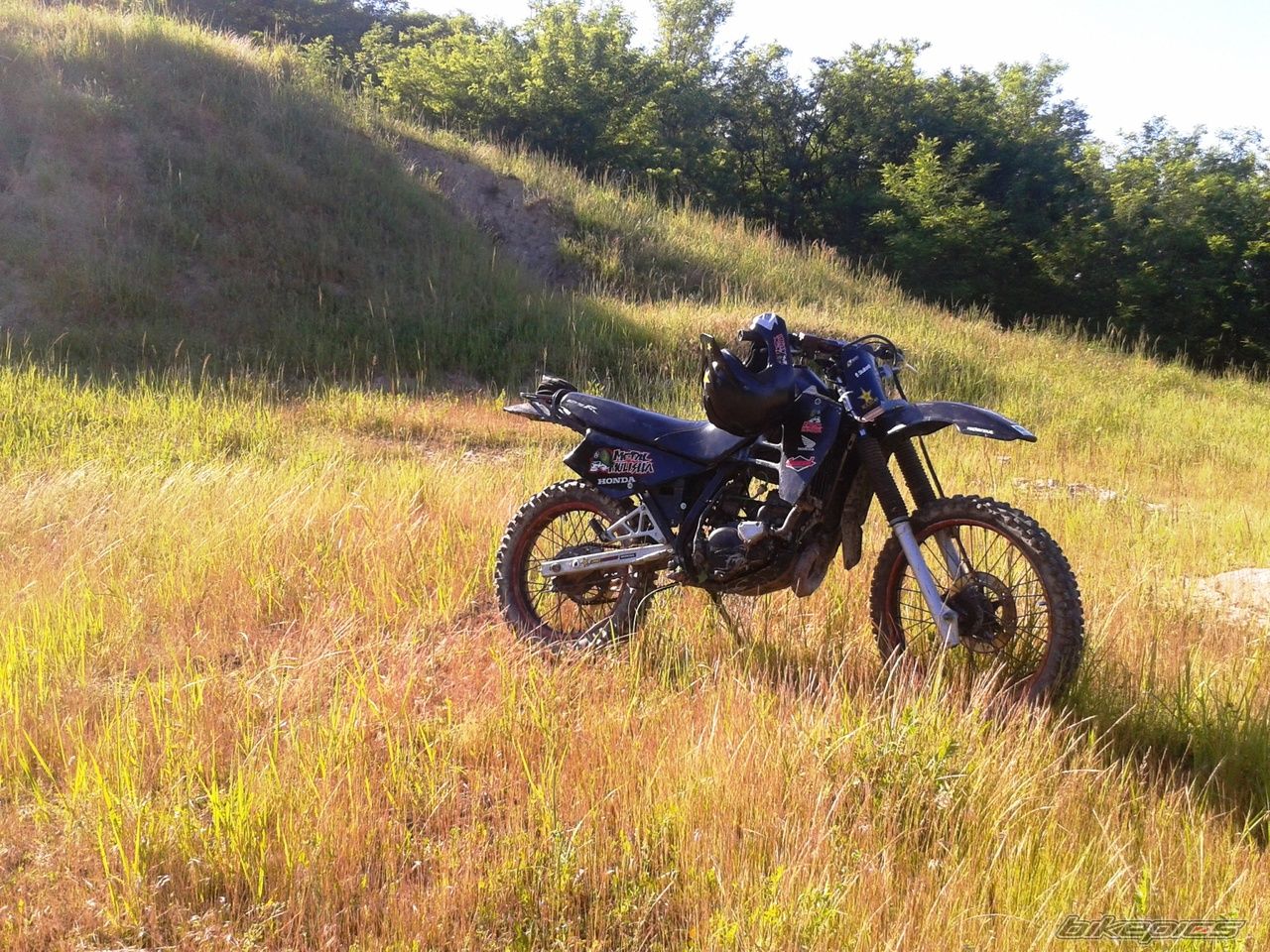 Photo 2730989