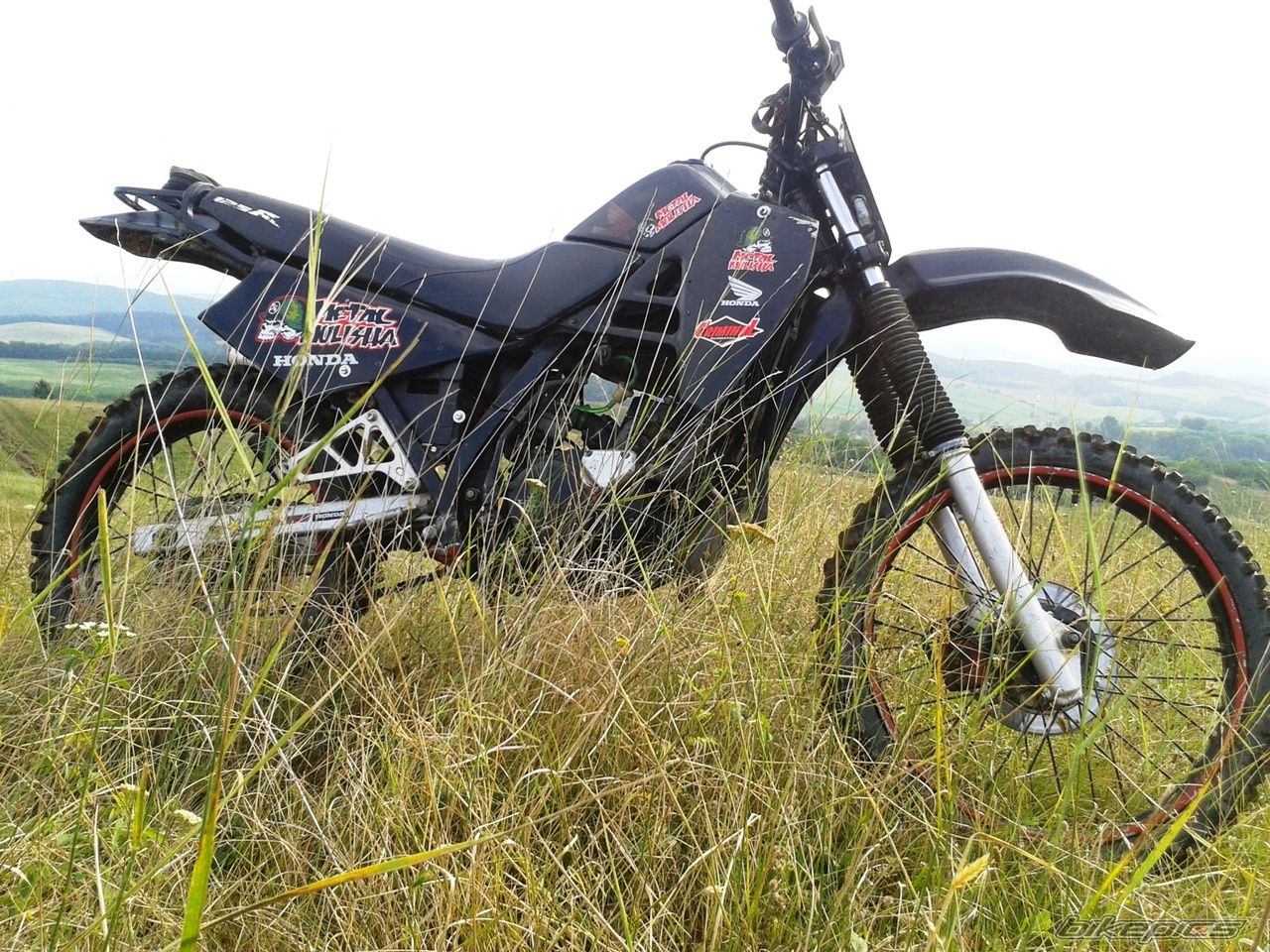 Photo 2730992