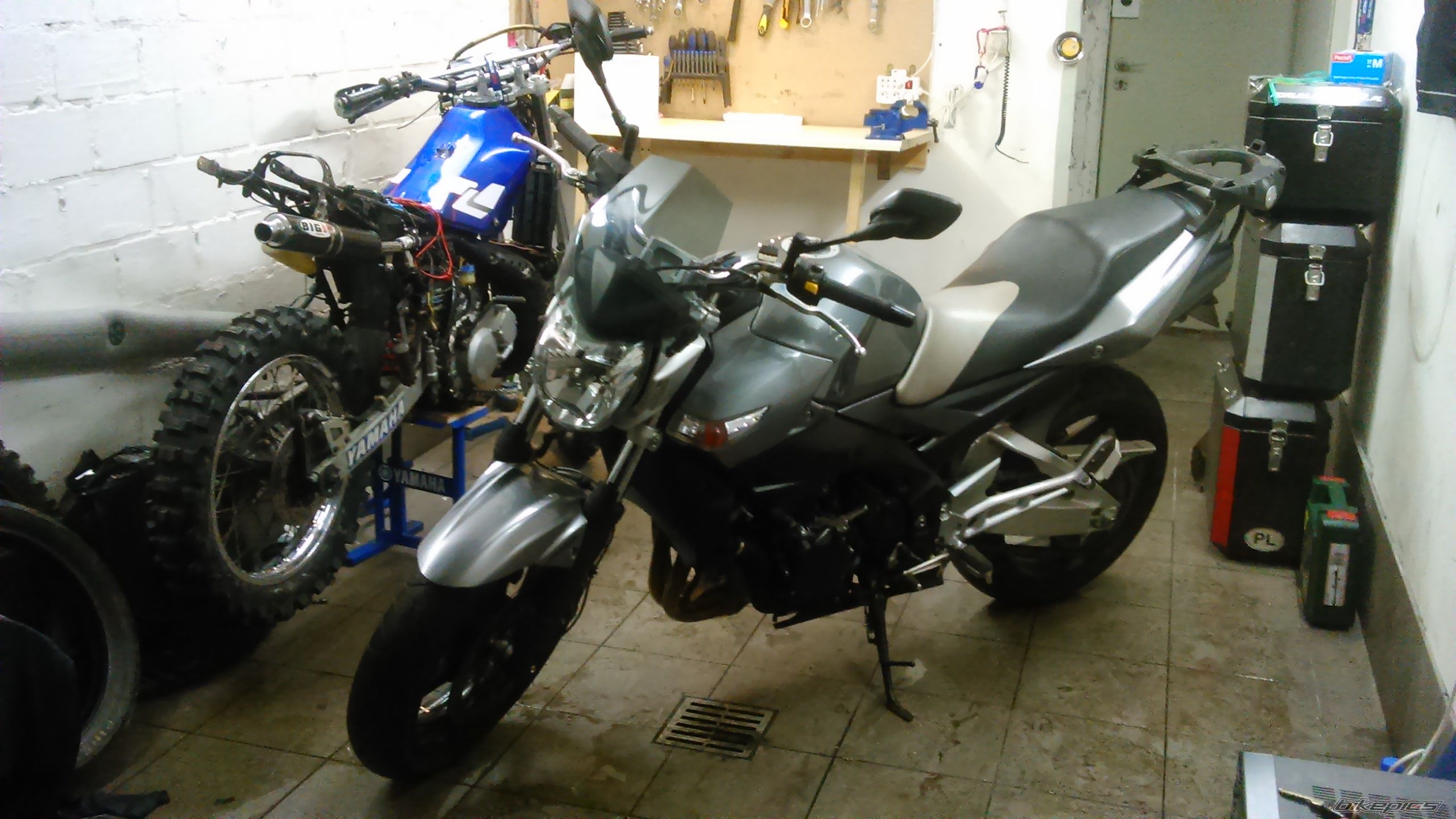 Photo 2731020