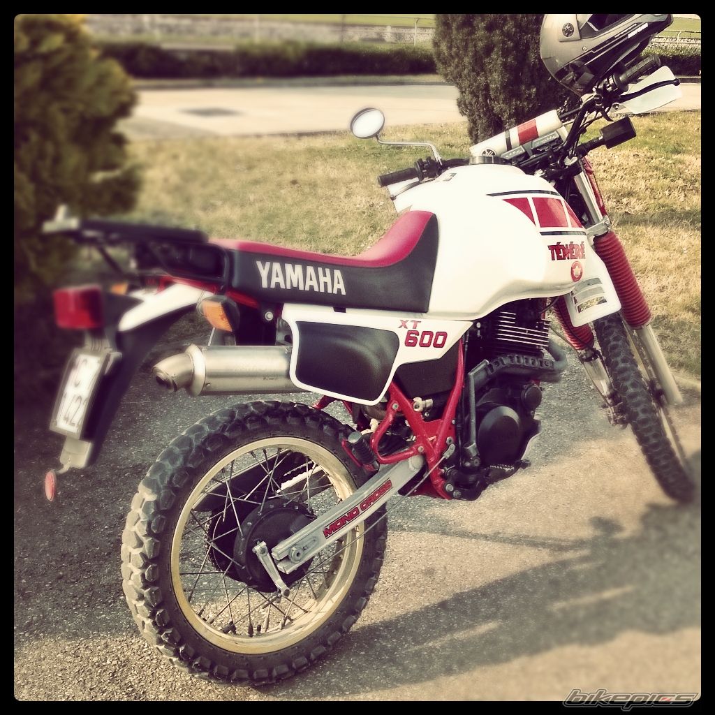 Photo 2731075