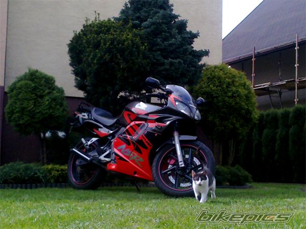 Photo 2731142
