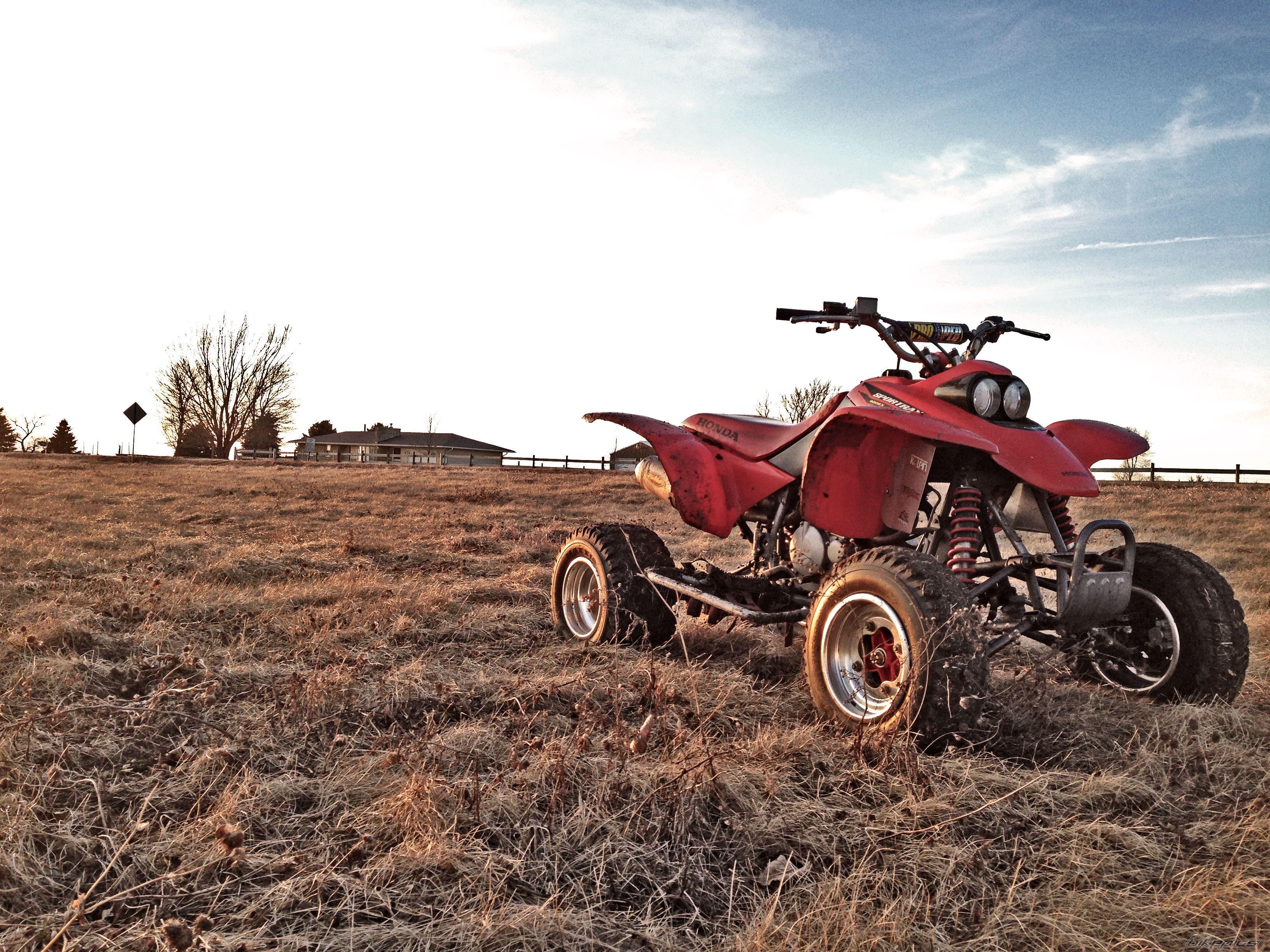 Photo 2731215